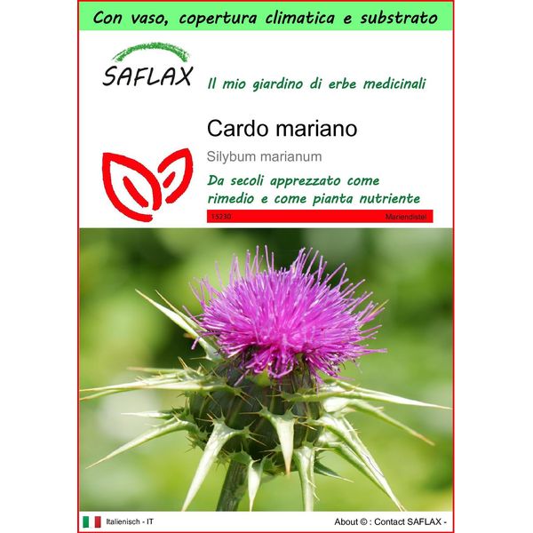 Saflax Garden To Go - Cardo Mariano - 75 Semi - Silybum-image