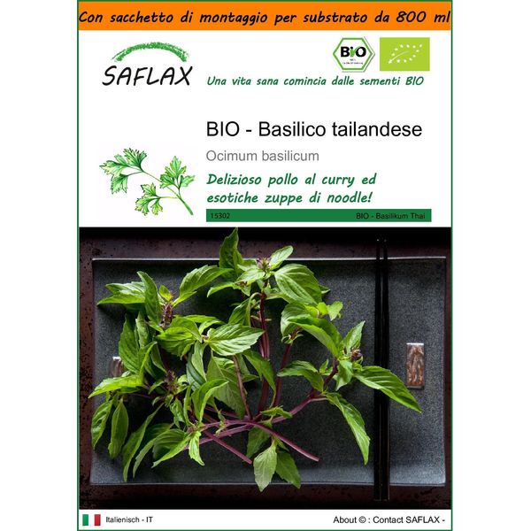 Saflax Garden In The Bag -- Basilico Tailandese - 250 Semi - Ocimum-image