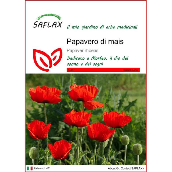 Saflax - Papavero Di Mais - 27000 Semi - Papaver-image