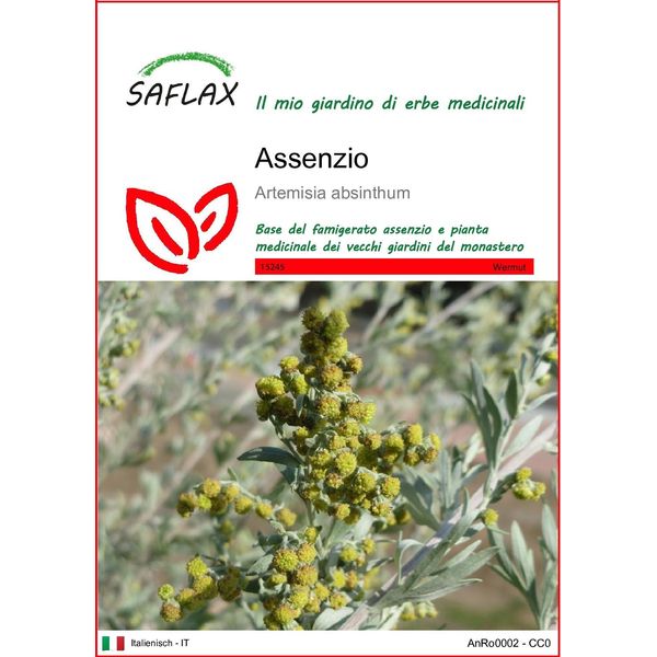 Saflax - Assenzio - 500 Semi - Artemisia-image
