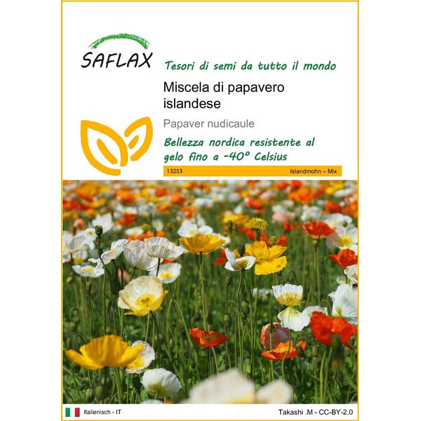 Saflax - Miscela Di Papavero Islandese - 8000 Semi - Papaver-image