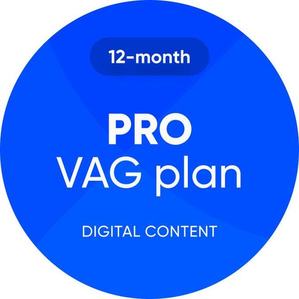 Obdeleven Pro Plan - 12 Mesi-image