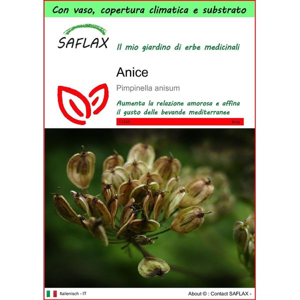 Saflax Garden To Go - Anice - 200 Semi - Pimpinella-image