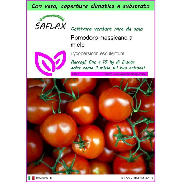 Saflax Garden To Go - Pomodoro Messicano Al Miele - 10 Semi - Lycopersicon-image