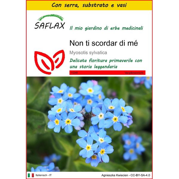 Saflax Insieme Di Coltivazione - Non Ti Scordar Di Mé - 150 Semi - Myosotis-image