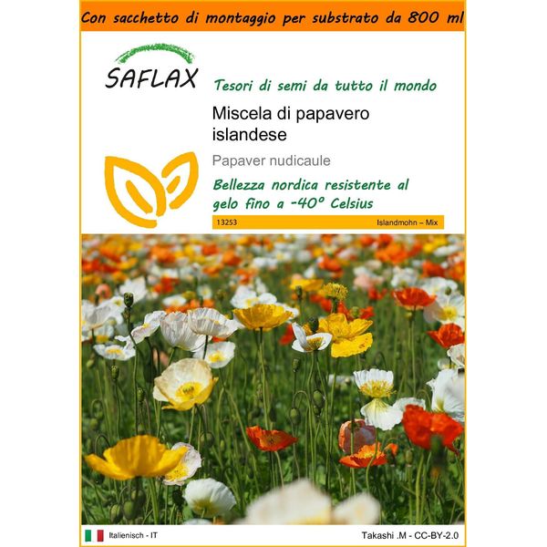 Saflax Garden In The Bag - Miscela Di Papavero Islandese - 8000 Semi - Papaver-image