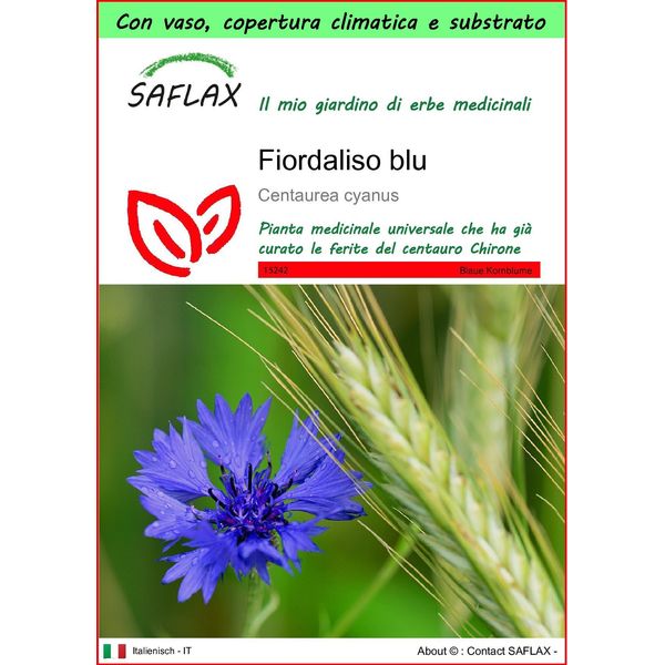 Saflax Garden To Go - Fiordaliso Blu - 27000 Semi - Centaurea-image