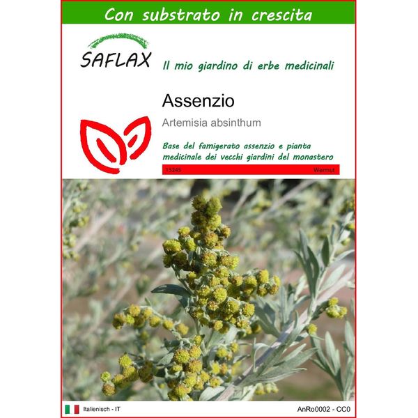 Saflax - Assenzio - 500 Semi - Con Substrato - Artemisia-image