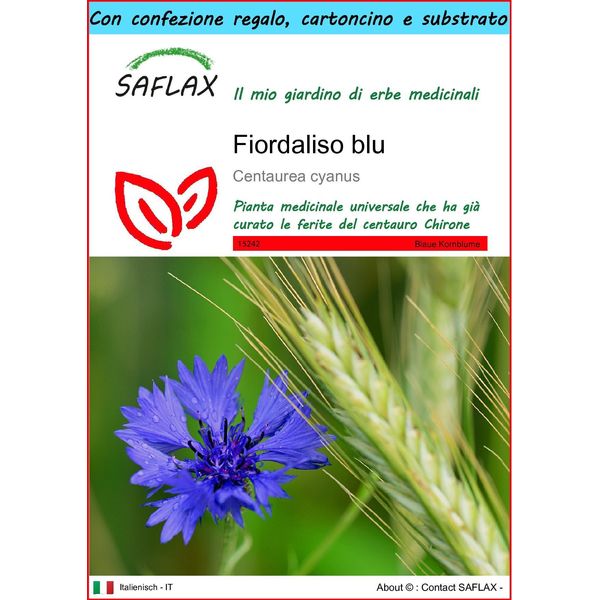 Saflax Set Regalo - Fiordaliso Blu - 27000 Semi - Centaurea-image
