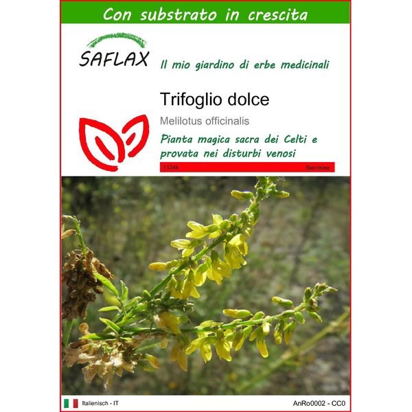 Saflax - Trifoglio Dolce - 250 Semi - Con Substrato - Melilotus-image
