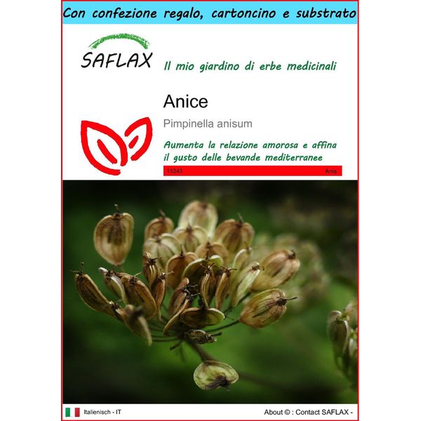 Saflax Set Regalo - Anice - 200 Semi - Pimpinella-image