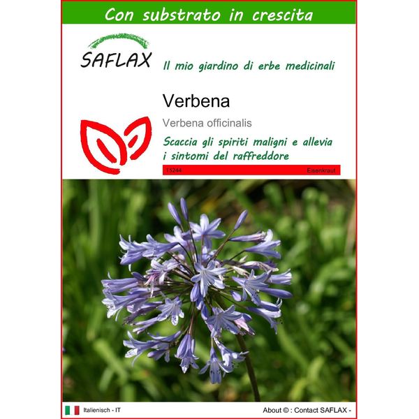 Saflax - Verbena - 250 Semi - Con Substrato - Verbena-image
