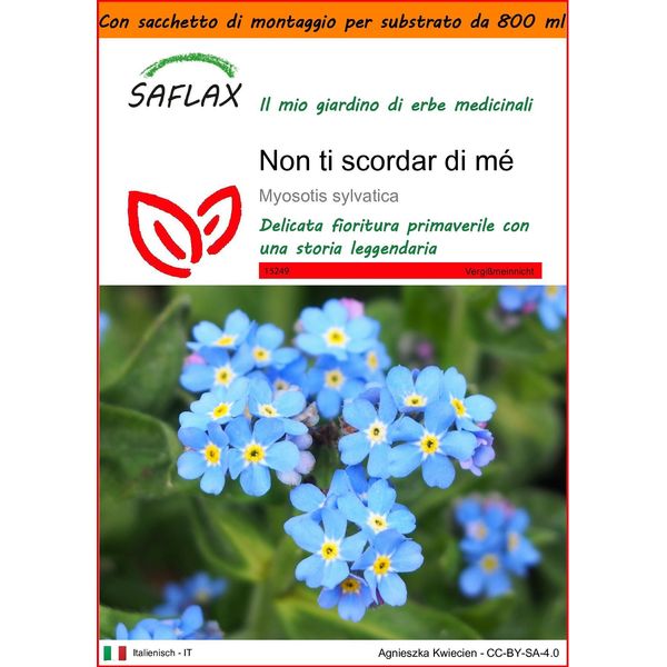 Saflax Garden In The Bag - Non Ti Scordar Di Mé - 150 Semi - Myosotis-image