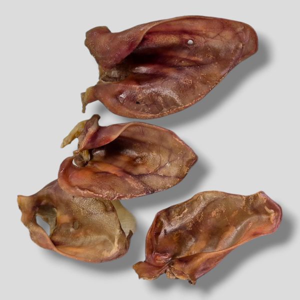 10 Pezzi Orecchie Di Maiale Secche Da Masticare Snack Per Cani Cibo Per Cani Snack Da Masticare-image
