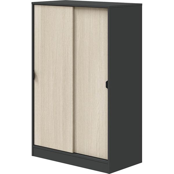 Dmora Guardaroba 2 Ante Lewiston 40X119H Cm Grigio Antracite, 2 Ante 3 Vani-image