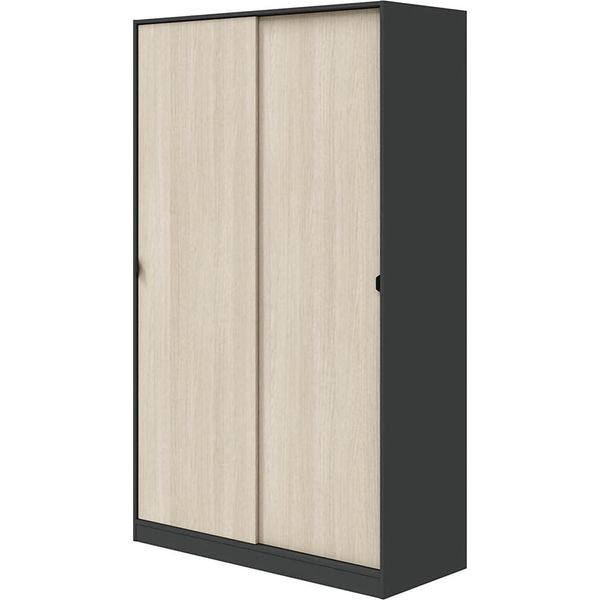 Dmora Guardaroba 2 Ante Waterville 50X200H Cm Grigio Antracite, Appendiabiti 2 Ante-image