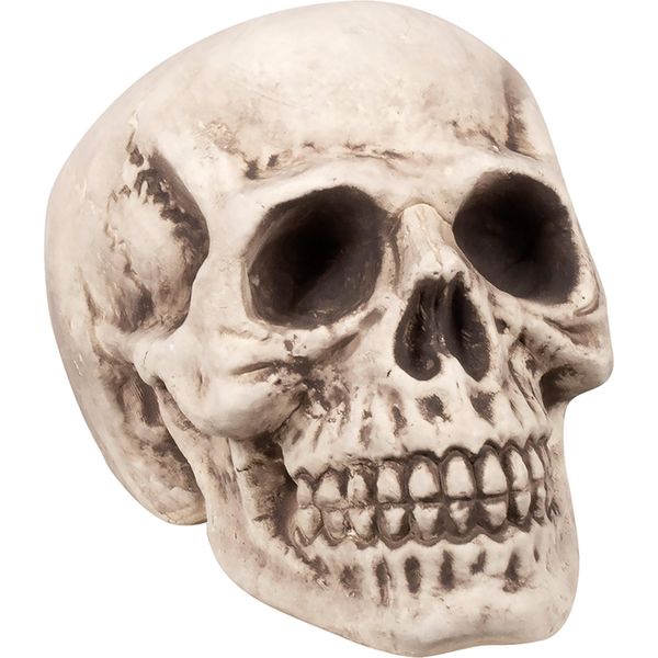 Decorazione Teschio Per Halloween Beige-Grigio 23X22X31 Cm - Taglia Unica-image
