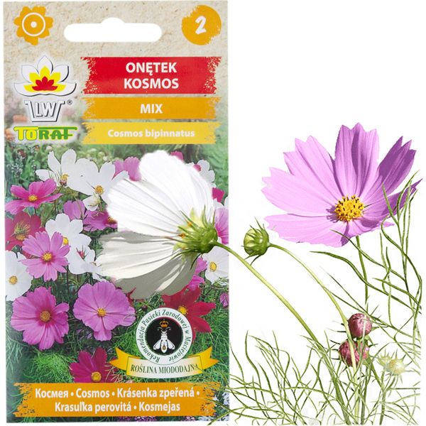 Mayfly Kosmos Mix Di Colori Mayfly Semi Di Fiori 1G Per Aiuole Da Giardino-image