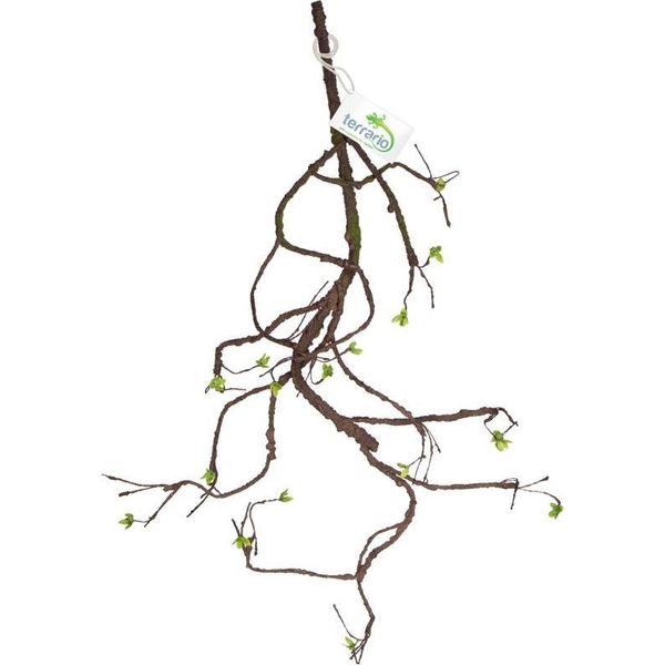 Terrario - Ramo Decorativo Artificiale Con Germogli Per Terrario - 100 Cm Terrario-image