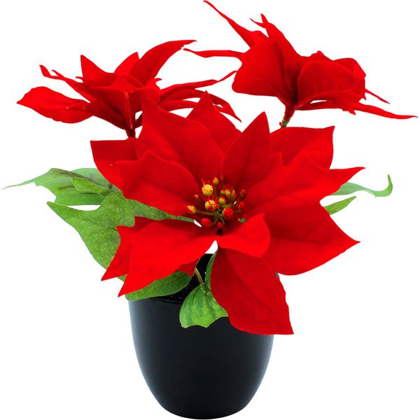Stella Di Natale Artificiale In Vaso Nero - 27 Cm - Fiore Artificiale Di Stella Di Natale In Una Replica Realistica-image