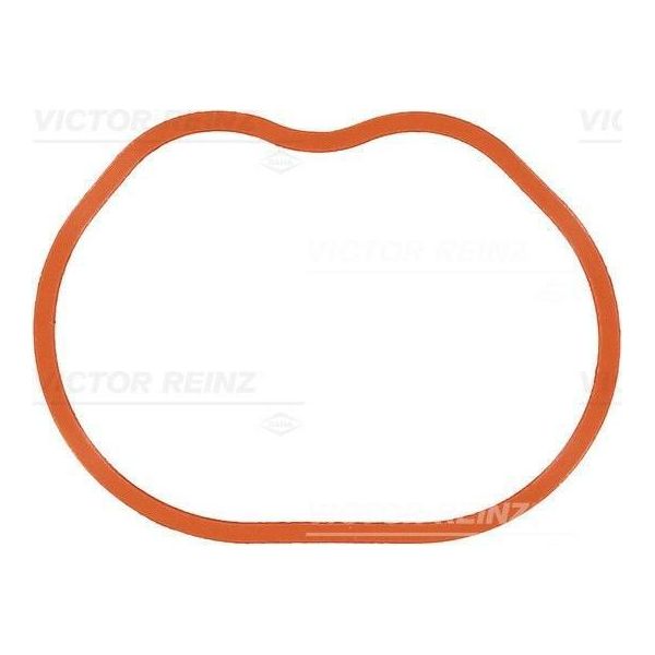 Guarnizione Del Collettore Di Aspirazione Ford Zetec C-Max 1.6 07--image