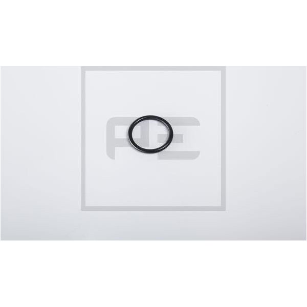 Peters Ennepetal Dichtring 076.234-00A 2,5Mm Gummi 20Mm 0,0005Kg-image