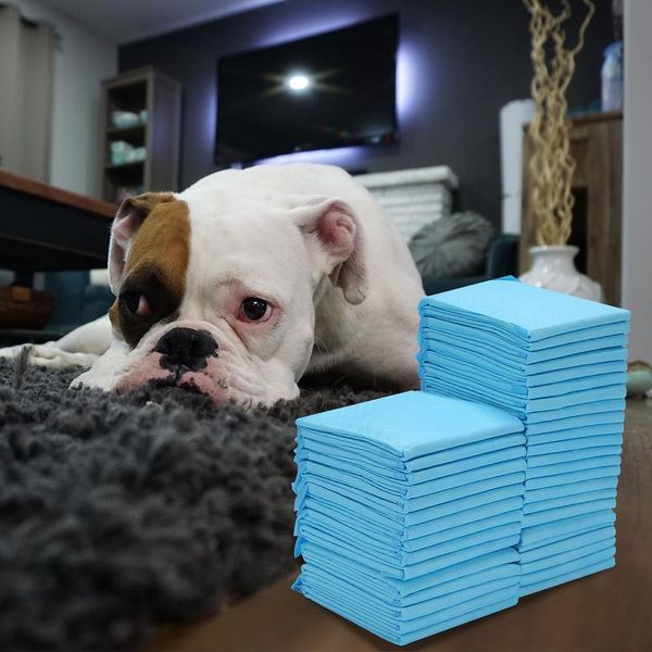 Tolletour Tappetini Per Cuccioli Tappetini Igienici Per Cani Ultra Assorbenti Tappetini Per L'addestramento Dei Cuccioli Cura Degli Animali Domestici 60*60CM - 120X-image