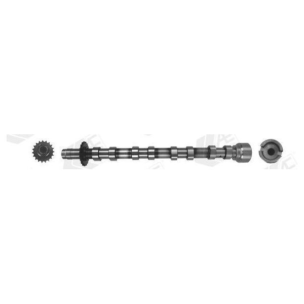 Ae CAM1019 Albero A Camme Di Scarico Per Ford Focus Iii Turnier Kuga Mk2 (DM2) Mondeo Iv Turnier (BA7) S-MAX (WA6) Focus Iii Galaxy (WA6)-image