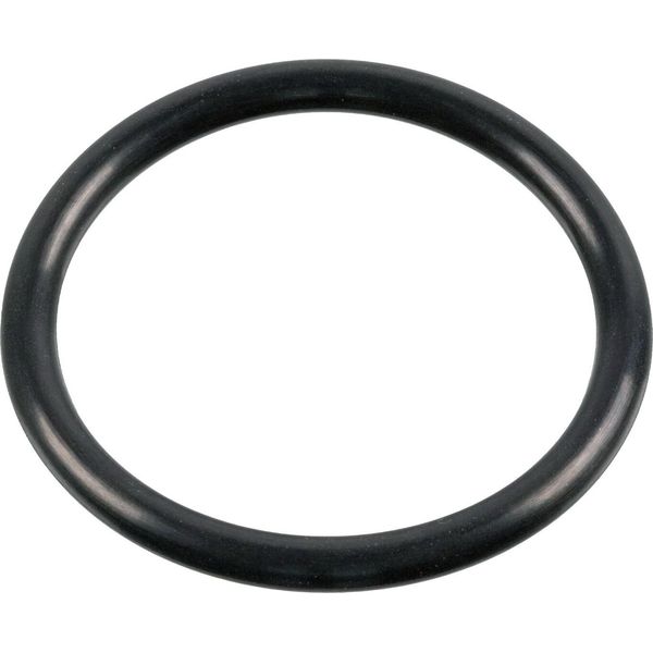 Febi Bilstein Guarnizione Pompa Acqua 187704 Per Renault Trucks C 5 Mm Nbr (Gomma Nitrilica Butadiene) 50 Mm 0,005 Kg-image