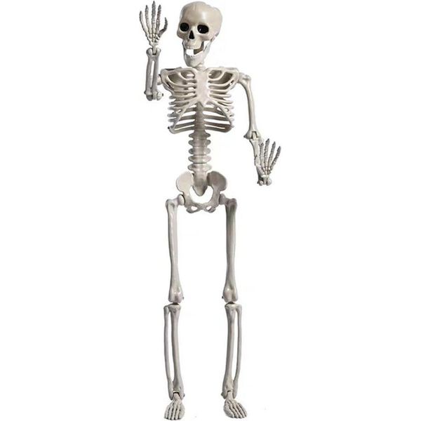 Scheletro Di Halloween Di Grandi Dimensioni Per Oggetti Di Scena Per Case Infestate Decorazioni Di Scheletri Con Articolazioni Mobili Per Decorazioni Spaventose Per Interni Ed Esterni,-image