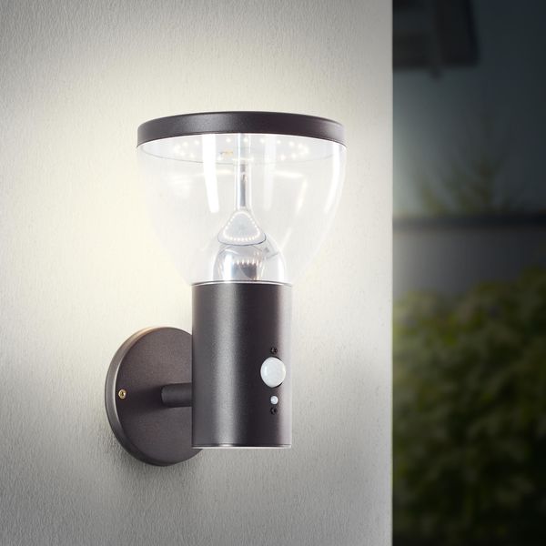 Brillante Applique Solare Nera Per Esterni Tulip | Incl. Rilevatore Di Movimento | 3W 430 Lm 3000 K | Acciaio Inox/Plastica-image