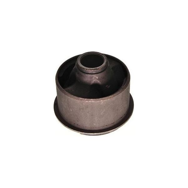 Bussola Del Braccio Oscillante Lexus Anteriore Gs300/400/430 97-05-image