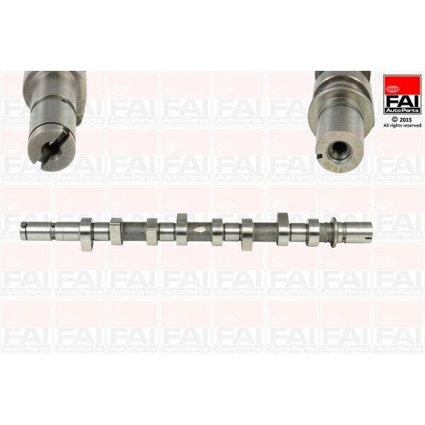 Fai Autoparts C253 Albero A Camme Per Renault Clio Iii Hatchback (BR0/1, CR0/1) Clio Ii (BB0/1/2, CB0/1/2) Twingo Ii (CN0) Megane Iii Grandtour (KZ0/1)-image