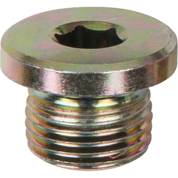 Ks Tools Tappi Di Scarico Olio Per La Riparazione Della Coppa Dell'olio, M17X1,5 Confezione Da 10 - 150.1454-image