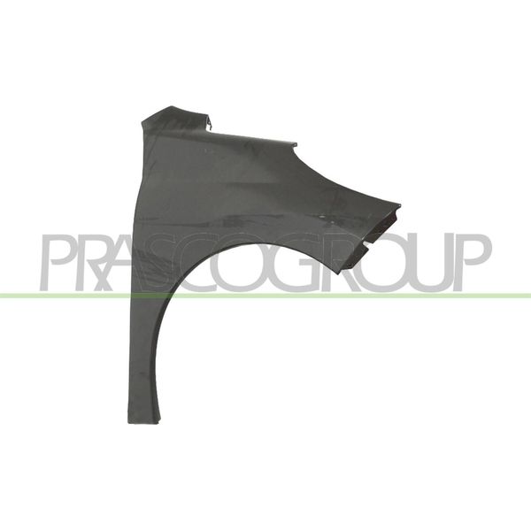 Prasco PG3203013 - Parafango Oe 7841V0, Anteriore Destro Per 207 (Wa, Wc), 207 Cc (Wd), 207 Sw (Wk)-image