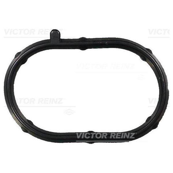 Guarnizione Collettore Di Aspirazione Fiat 1.9Td-image