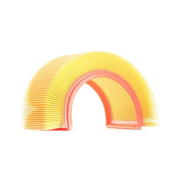 Ridex 8A0008 - Filtro Aria Oe PC537 Per C5 I (Dc), C5 I (De), C5 Ii (Re), C5 (Re), C5 (De), C8 (Ea, Eb), Jumpy (U6U), Jumpy (VF7), Jumpy (B), Zx (N2), Scudo, Ulysse, 405 Ii, 406, 607 (9D, 9U), 806 (221), 806 Van (Af), 807 (Eb), Expert (224), Expert (222), Expert (Vf), Expert (223), Expert Tepee (VF3X)-image