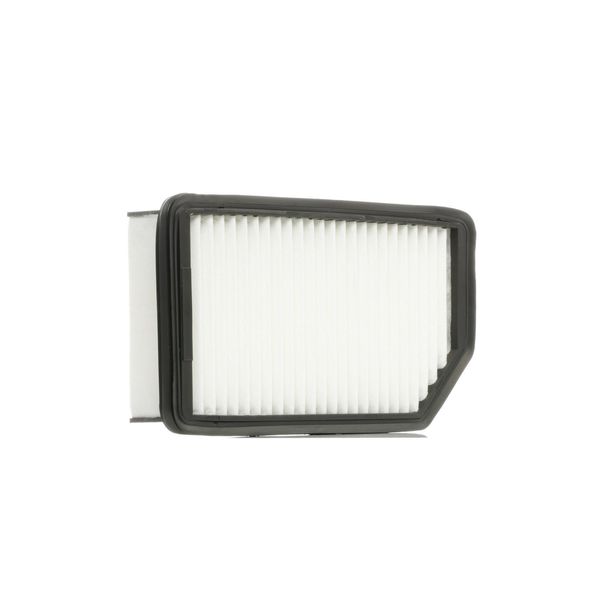 Ridex 8A0191 - Filtro Aria Oe 28113 1J000 Per Ix20 (Jc), I20 (Pb), Venga (Yn), Soul (Am)-image