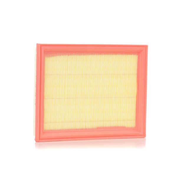 Ridex 8A0043 - Filtro Aria Oe 13721477840 Per Fiesta V, Fusion, 2 (Dy), R50, R53, R52-image