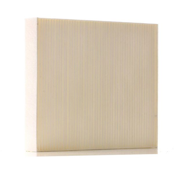 Ridex 424I0237 - Oe 52102242 Innenraumfilter FüR Aveo (T300), Cruze (J300), Cruze (J305), Cruze (J308), Malibu (V300), Orlando (J309), Spark (M200, M250), Spark (M300), Trax, Ampera (R12), Astra (A04), Astra J, Cascada (W13), Insignia A (G09), Karl (C16), Meriva B (S10), Mokka X (J13), Zafira Tourer C-image