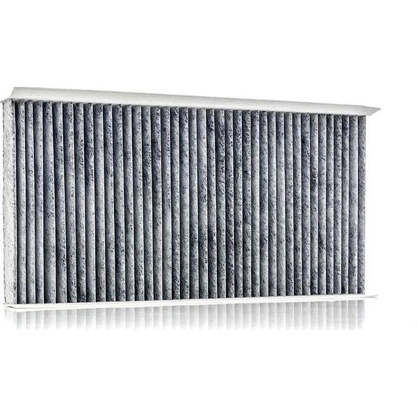 Ridex 424I0013 - Filtro Aria In Cabina Oe 46844822 Per Croma, Combo, Combo Tour, Corsa C (X01), Signum (Z03), Tigra Twintop (X04), Vectra C (Z02)-image