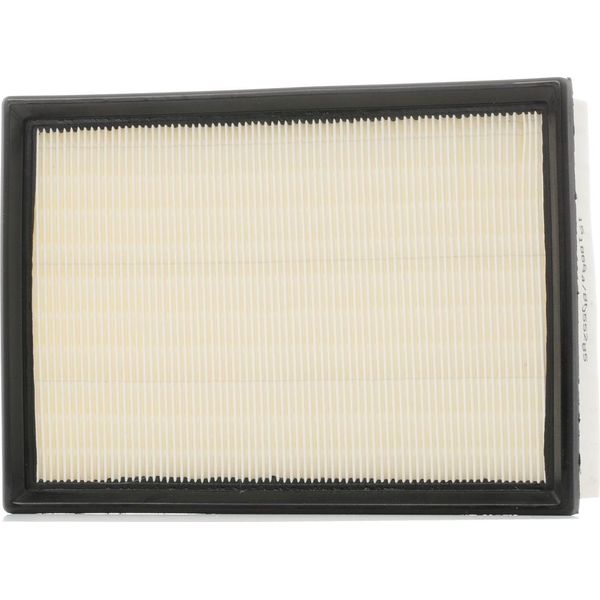 Ridex 8A0151 - Filtro Aria Oe 1444 N0 Per Escort V, Escort Vi, Escort Vii, Orion Iii (Gal)-image