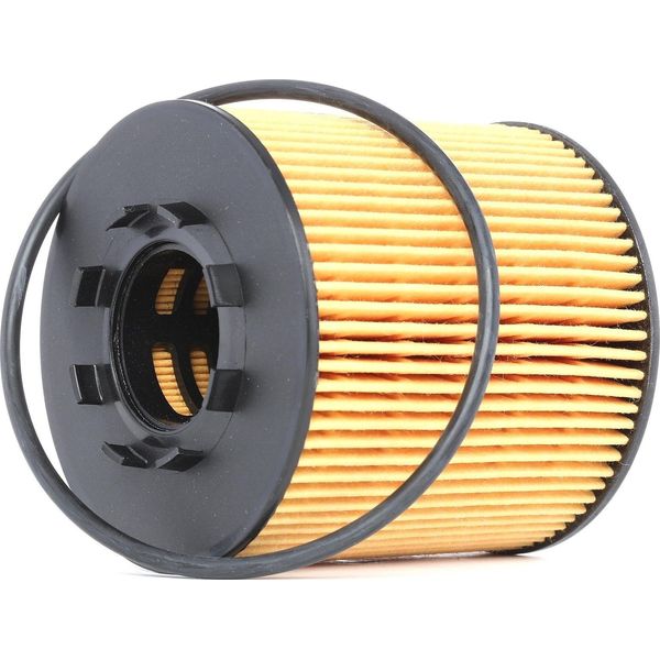 Ridex 7O0101 - Oe 9201435 ÖLfilter FüR Primastar (X83), Movano (X70), Vivaro (J7), Vivaro (F7), Vivaro A (E7), Avantime (DE0), Espace Iii (Je), Espace Iv (Jk), Laguna Ii, Trafic Ii (Jl), Trafic Ii (Fl), Trafic Ii (El), Vel Satis (BJ0)-image