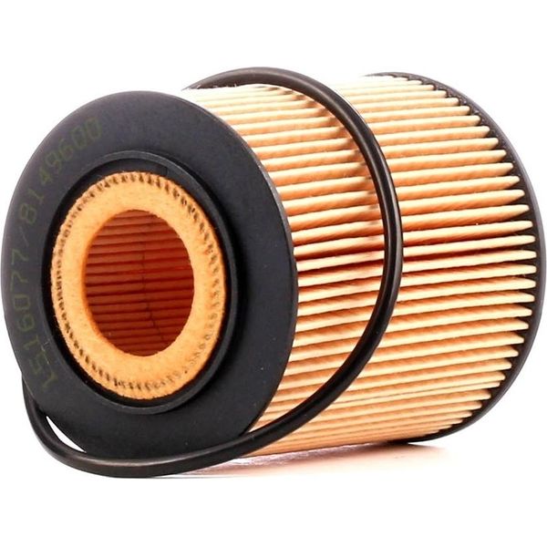 Ridex 7O0125 - Oe 11 42 7 509 208 ÖLfilter FüR Neon Ii, Pt Cruiser (Pt), 500X (334), Tipo, Renegade, R50, R53, R52, R57-image