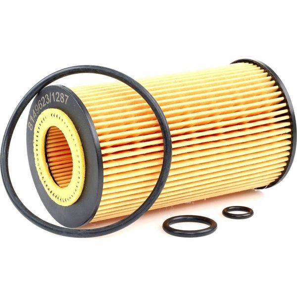 Ridex 7O0064 - Oe 90544191 ÖLfilter FüR Zafira A, Vectra C (Z02), Vectra B (J96), Sintra (Apv), Signum (Z03), Frontera B (U99), Astra G-image