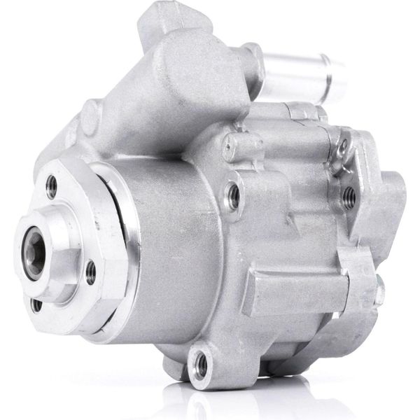 Ridex 12H0091 - Servo Pompa Oe 8N0145154A Per A3 (8L), Tt (8N), Golf Iv (1J), New Beetle-image
