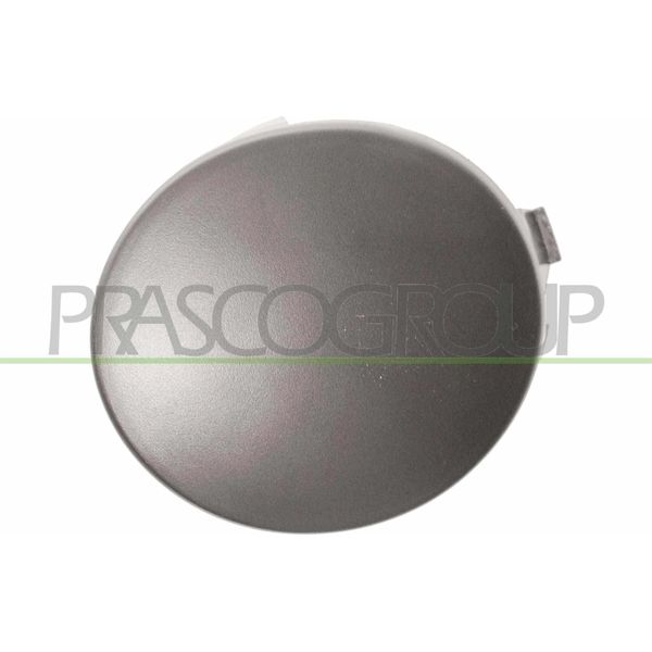 Prasco RN3241250 - Oe 7702295498 Cornice, Fendinebbia, Sinistra Per Clio Iii-image