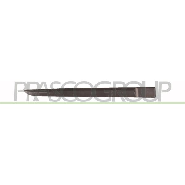 Prasco RN3251453 - Oe 7701476426 Modanatura, Posteriore Destra Per Clio Iii-image