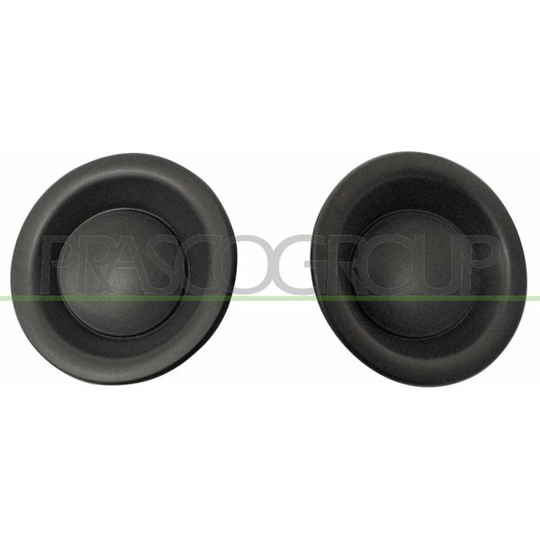 Prasco RN3291230 - Oe 263310915R Cornice, Fendinebbia Per Clio Iv-image