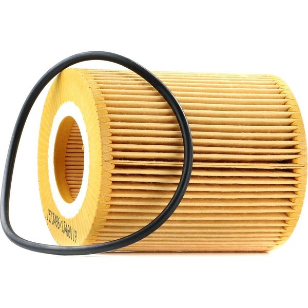 Ridex 7O0194 - Filtro Olio Oe 1109 Av Per C5 Iii (Rd), C5 Iii (Rw), C6 (Td), Xf (X250), Xf (X260), Xj (X351), Discovery Iv (L319), Discovery V (L462), Range Rover Iv (L405), Range Rover Sport (L320), Range Rover Sport (L494), Range Rover Velar (L560), 407-image